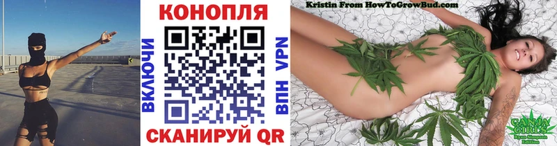 Купить  Галич  Канабис семена 